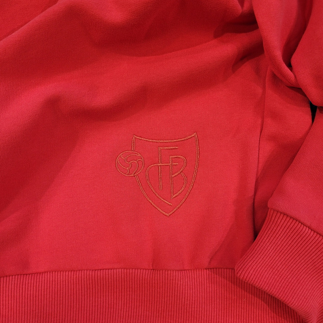 Hoodie rot 1893