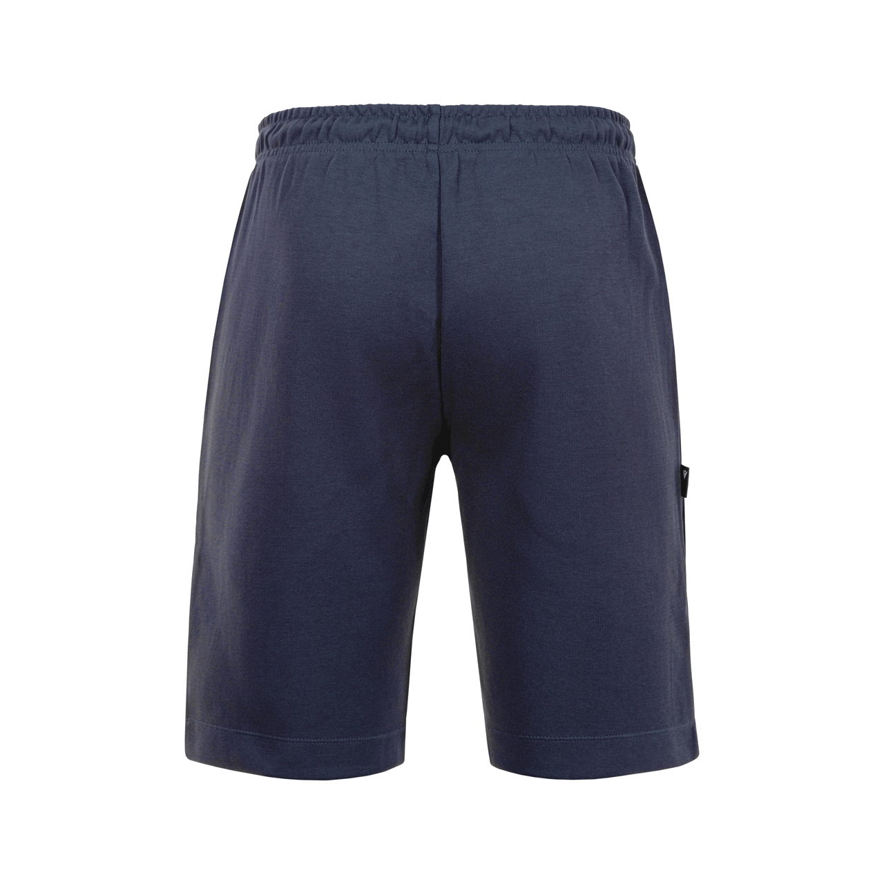 Team Shorts 24/25