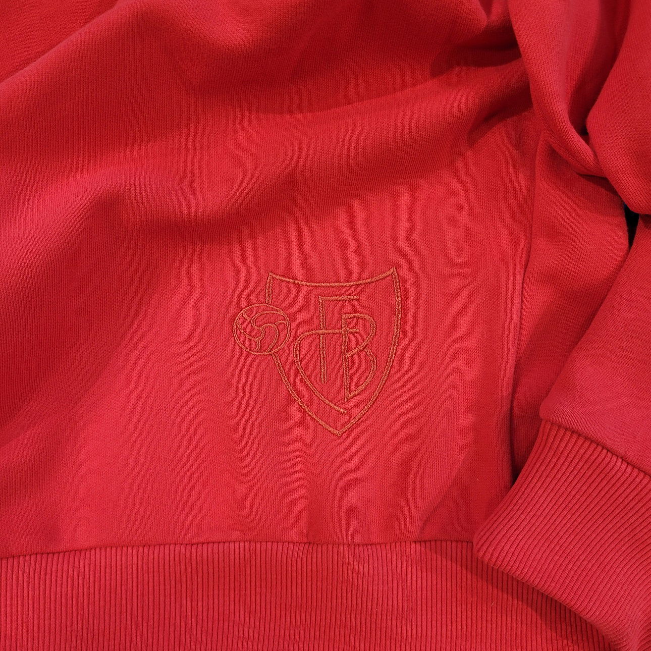 Hoodie rot 1893